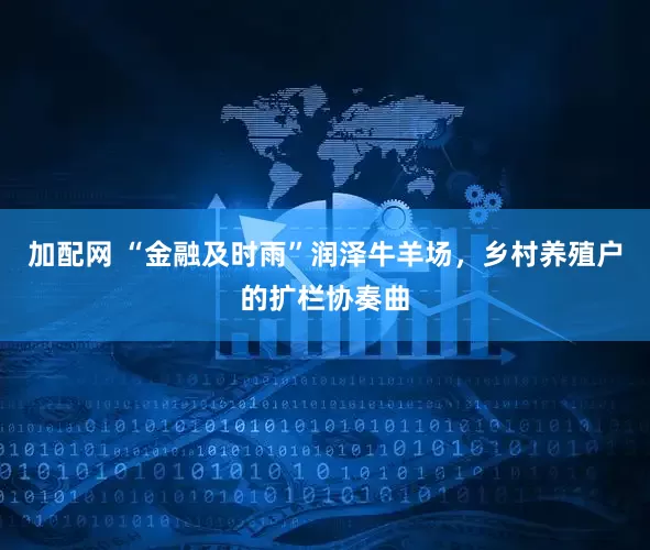 加配网 “金融及时雨”润泽牛羊场，乡村养殖户的扩栏协奏曲