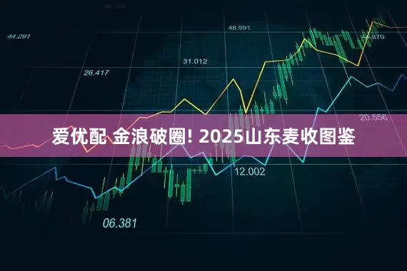 爱优配 金浪破圈! 2025山东麦收图鉴