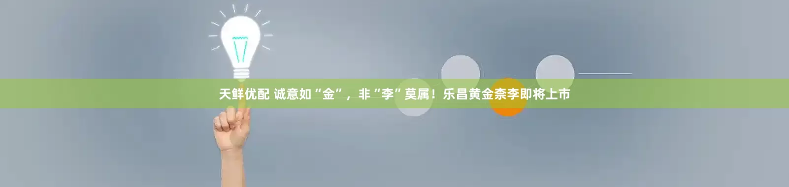 天鲜优配 诚意如“金”，非“李”莫属！乐昌黄金柰李即将上市