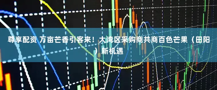 尊享配资 万亩芒香引客来！大湾区采购商共商百色芒果（田阳）新机遇