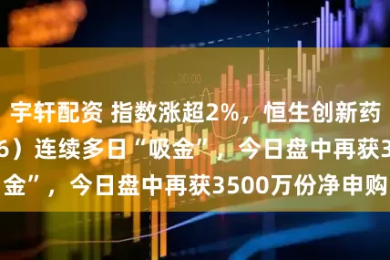 宇轩配资 指数涨超2%，恒生创新药ETF（159316）连续多日“吸金”，今日盘中再获3500万份净申购