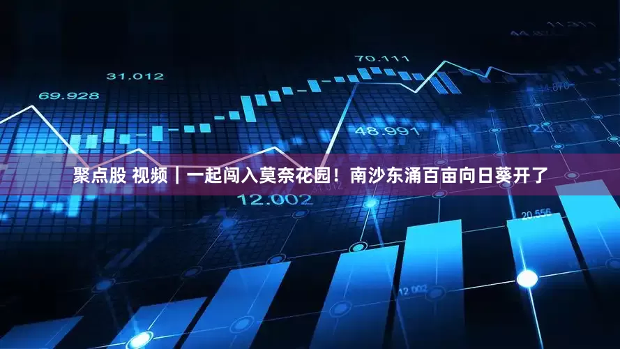 聚点股 视频｜一起闯入莫奈花园！南沙东涌百亩向日葵开了